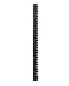 32U verticale kabelgoot - 10 cm breed