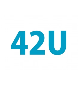 42U Server Relay Rack